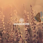 Sacheerome Ltd